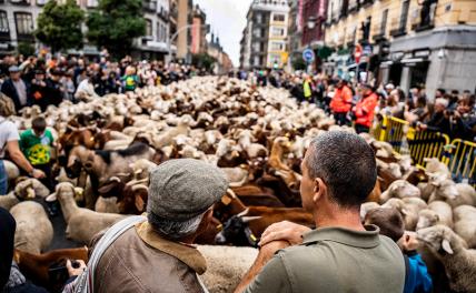 &laquo;А Европа пусть ест искусственное!&raquo; Экономист Андрей Бунич назвал идеальных мигрантов для России