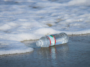 Обнаружено питающееся пластиком живое существо НАУКА