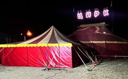 Представлений не было, пантер в цирке нет — так кто травмировал ребенка в Ангарске? Представлений не было, пантер в цирке нет — так кто травмировал ребенка в Ангарске?