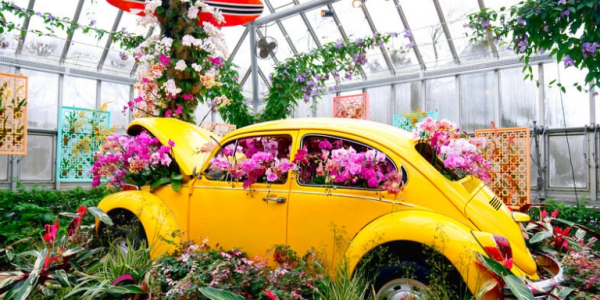 Кардиохирург назвал специи, которые не дают стареть и защищают сердце