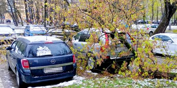 Врач сказал, сколько нужно ходить ежедневно для здоровья сердца после 50 лет